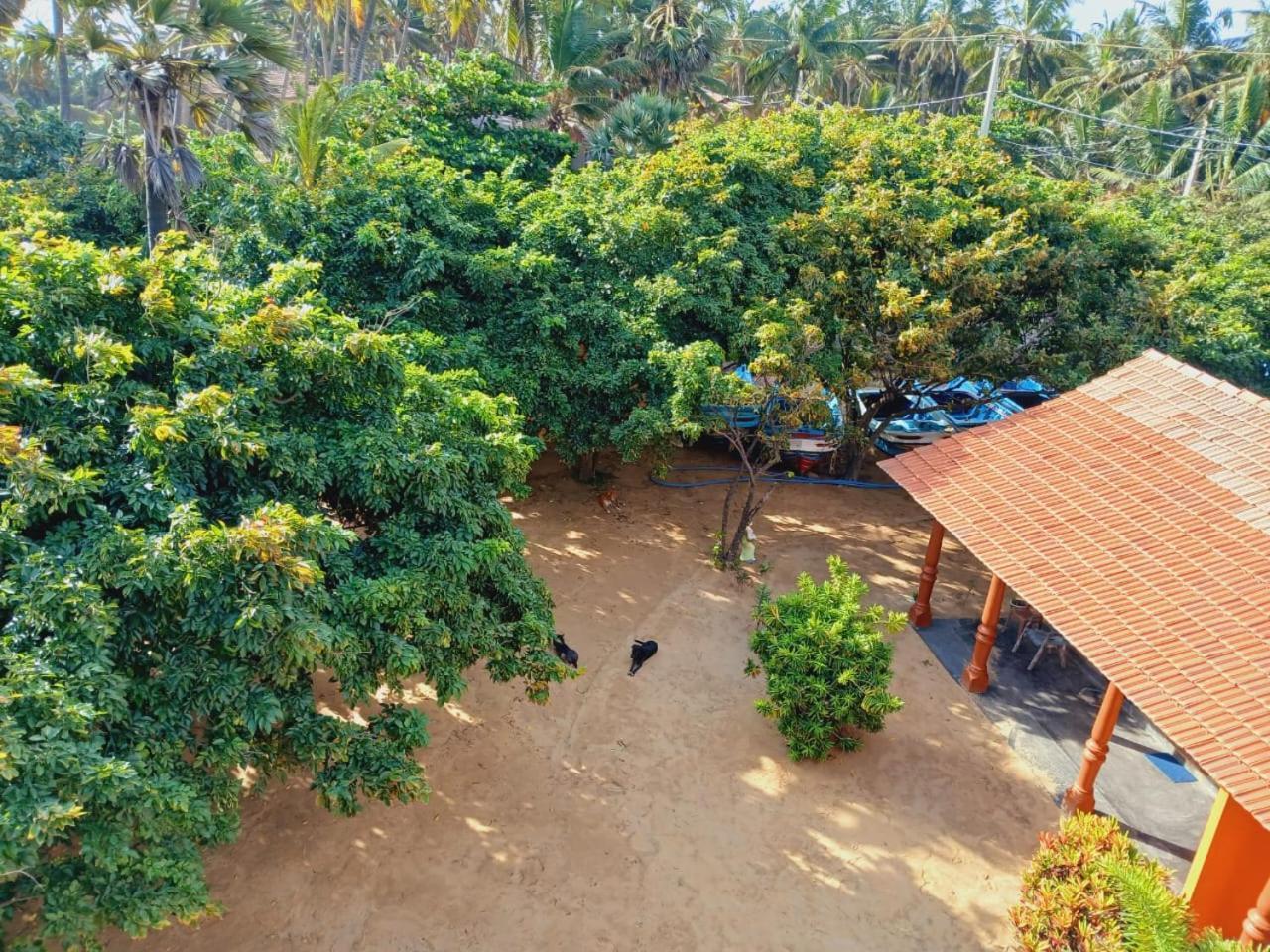 Dolphin Village Alankuda Ngoại thất bức ảnh