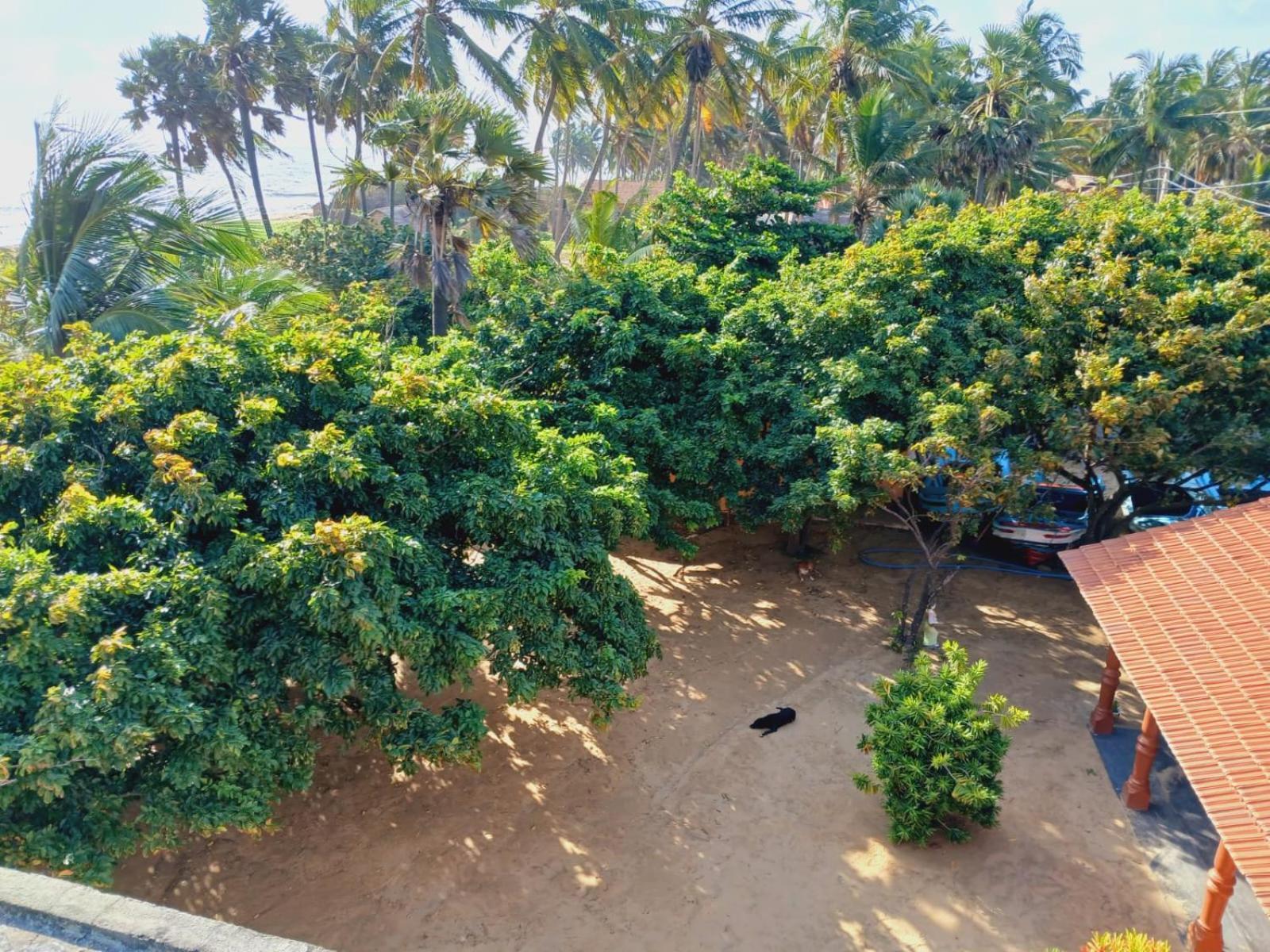 Dolphin Village Alankuda Ngoại thất bức ảnh