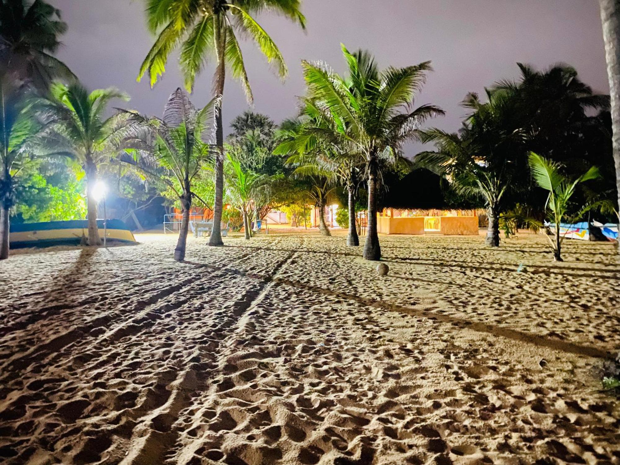 Dolphin Village Alankuda Ngoại thất bức ảnh